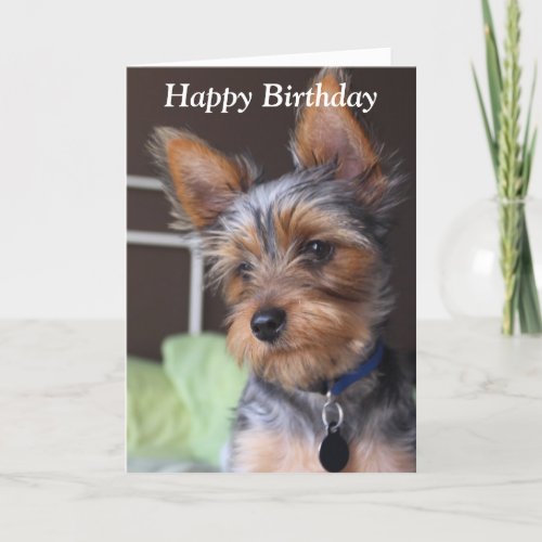 Yorkshire Terrier dog photo custom birthday card