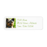 Yorkshire Terrier Dog Return Address Label