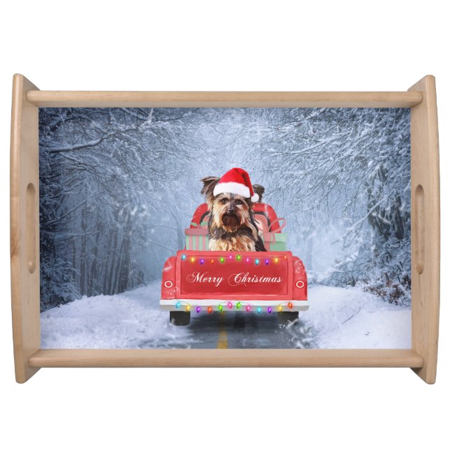  Yorkshire Terrier Dog Snow sitting in Christmas  Serving Tray (Front)