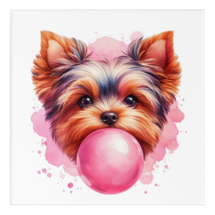 Yorkshire Terrier Dog w Pink Bubblegum Watercolor Acrylic Print