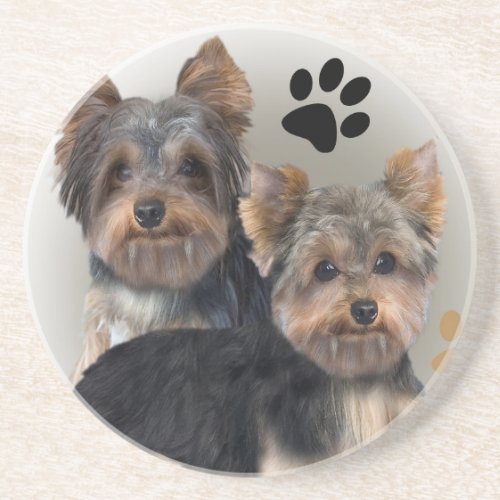 Yorkshire Terrier Double Trouble Coaster
