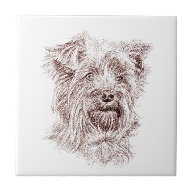 Yorkshire Terrier Drawing Ceramic Tile (Front)
