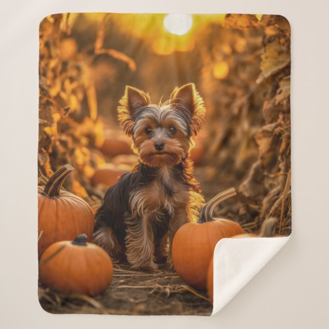 Yorkshire Terrier Fall Pumpkin Blanket (Front)