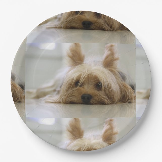 Yorkshire-terrier flat.png paper plates (Front)