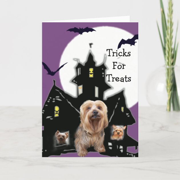 Yorkshire Terrier Halloween Greeting Card