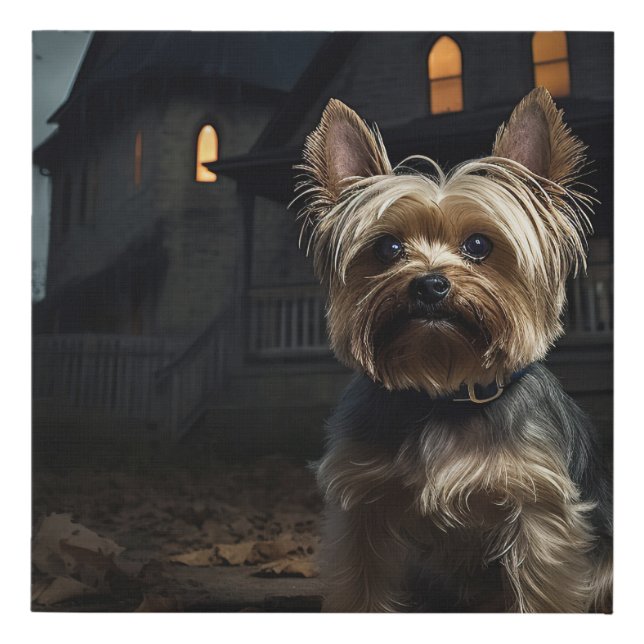 Yorkshire Terrier Halloween Scary  Faux Canvas Print (Front)