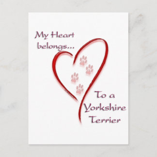 Yorkshire Terrier Heart Belongs Postcard