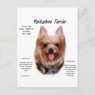 Yorkshire Terrier History Design Postcard