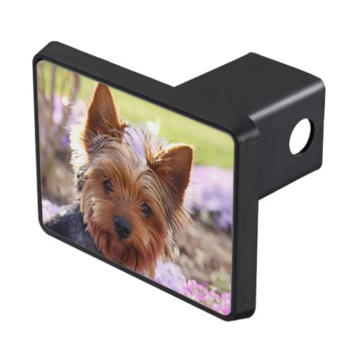 Yorkshire Terrier Hitch Cover