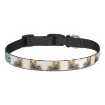 Yorkshire Terrier Id Collar | Yorkie Id Collar