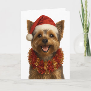 Yorkshire Terrier in a Santa hat Christmas card