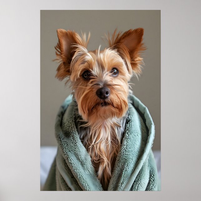 Yorkshire Terrier in Bathrobe, Funny Dog Bathroom Poster (Front)