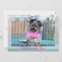 Yorkshire Terrier in Pink Happy New Year Dog Photo