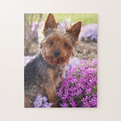 Yorkshire Terrier Jigsaw Puzzle
