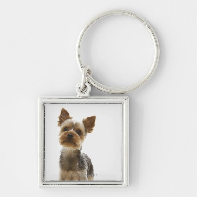 Yorkshire Terrier Keychain (Front)