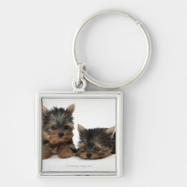 Yorkshire Terrier Keychain (Front)