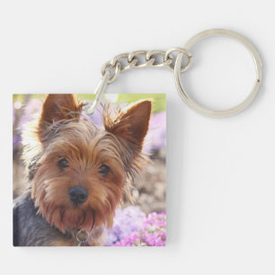 Yorkshire Terrier Keychain