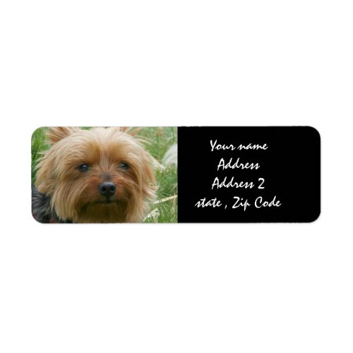 Yorkshire Terrier Label