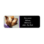 Yorkshire terrier label