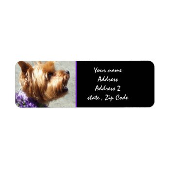 Yorkshire Terrier Label by ritmoboxer at Zazzle