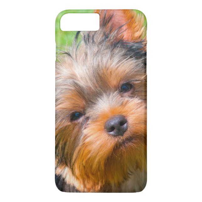 Yorkshire Terrier looking up Case-Mate iPhone Case (Back)