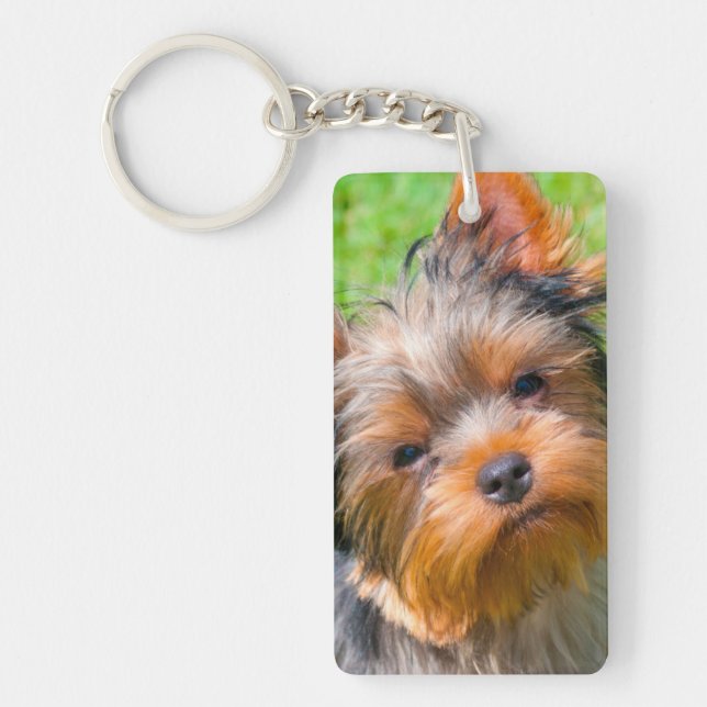 Yorkshire Terrier looking up Keychain (Front)