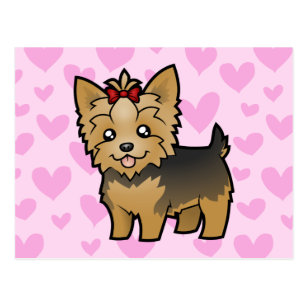 Biewer Yorkshire Terrier Postcards No Minimum Quantity Zazzle