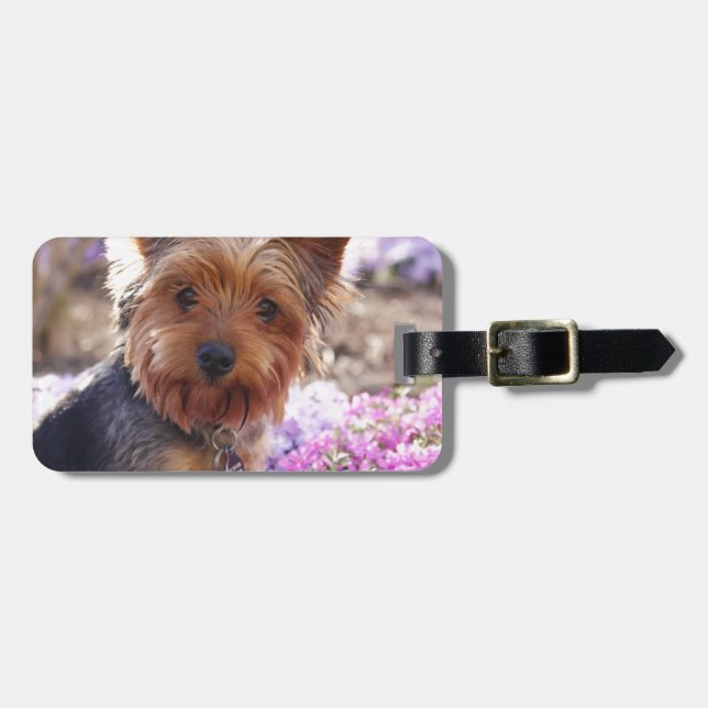 Yorkshire Terrier Luggage Tag (Front Horizontal)
