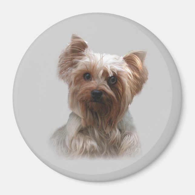 Yorkshire Terrier Magnet (Front)
