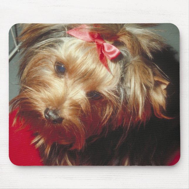 Yorkshire Terrier Mouse Pad (Front)