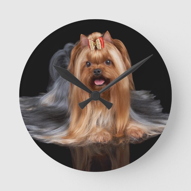 Yorkshire Terrier on black Round Clock (Front)