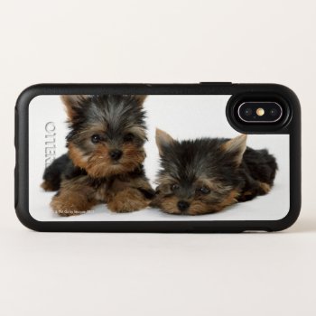 Yorkshire Terrier Otterbox Symmetry Iphone X Case by prophoto at Zazzle