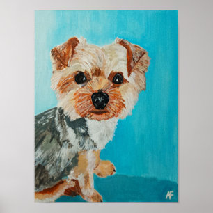 Yorkshire Terrier Painting by Alfred Fox Poster