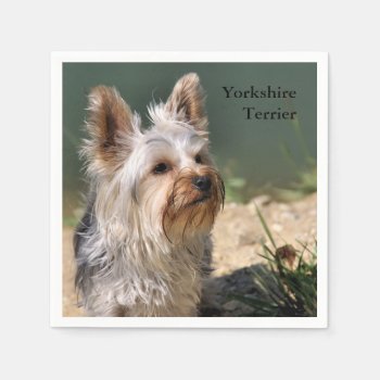 Yorkshire Terrier Paper Napkins by artinphotography at Zazzle