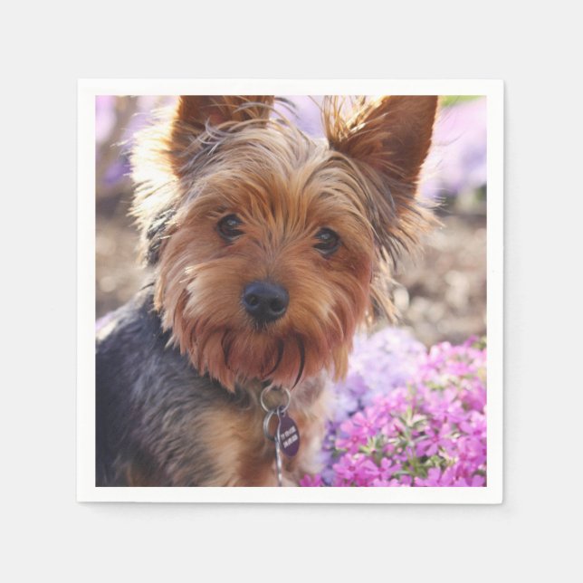 Yorkshire Terrier Paper Napkins (Front)