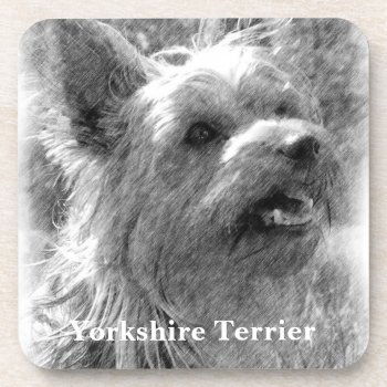 Yorkshire Terrier Pencil Drawing Coaster by artinphotography at Zazzle