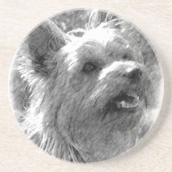 Yorkshire Terrier Pencil Drawing Sandstone Coaster by artinphotography at Zazzle