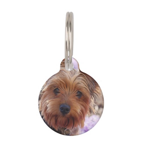 Yorkshire Terrier Pet Name Tag