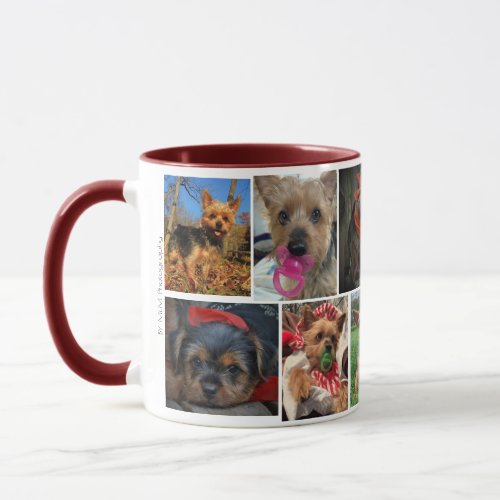 Yorkshire Terrier Photography and Information Mug