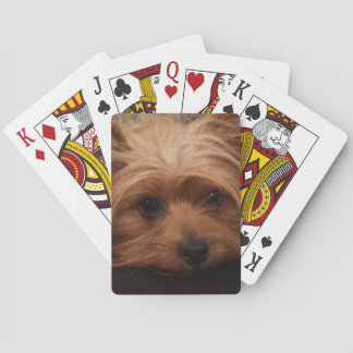 Yorkshire Terrier Playing Cards