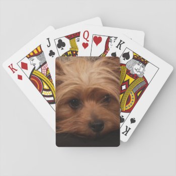 Yorkshire Terrier Playing Cards by QuoteLife at Zazzle