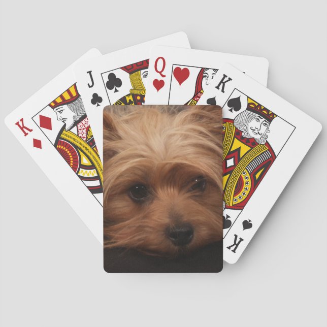 Yorkshire Terrier Playing Cards (Back)