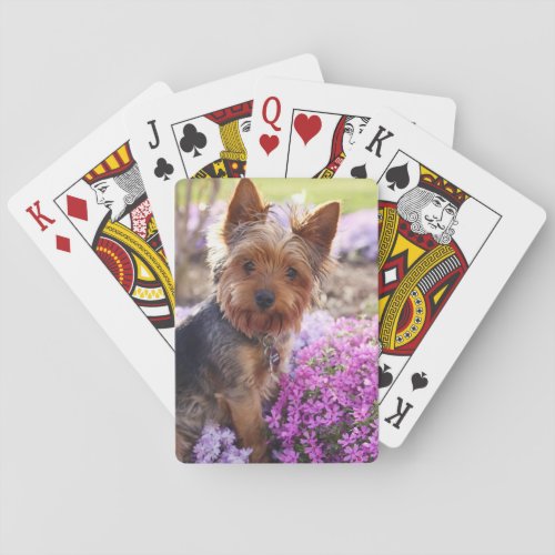 Yorkshire Terrier Playing Cards