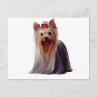 Yorkshire Terrier Postcard