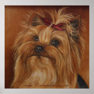 Yorkshire Terrier Poster