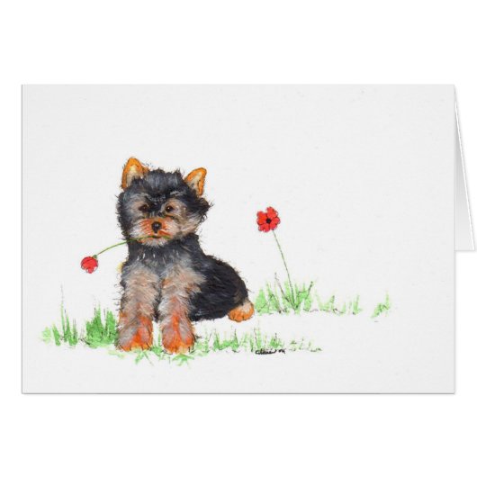 Yorkshire terrier pup cards (Front Horizontal)