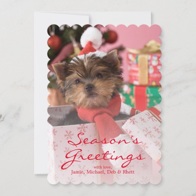 Yorkshire Terrier Puppy and Christmas 2 Holiday Card (Front)