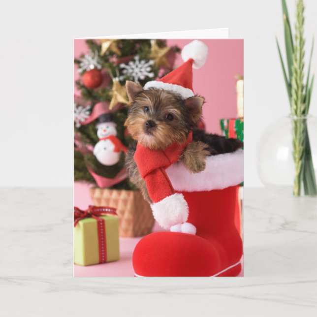 Yorkshire Terrier Puppy and Christmas Holiday Card (Front)