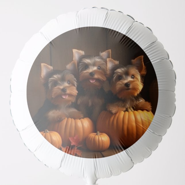 Yorkshire Terrier Puppy Autumn Delight Pumpkin  Balloon (Front)