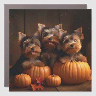 Yorkshire Terrier Puppy Autumn Delight Pumpkin Car Magnet
